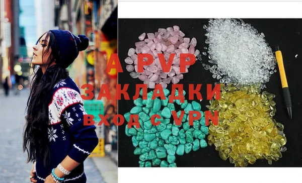 индика Россошь