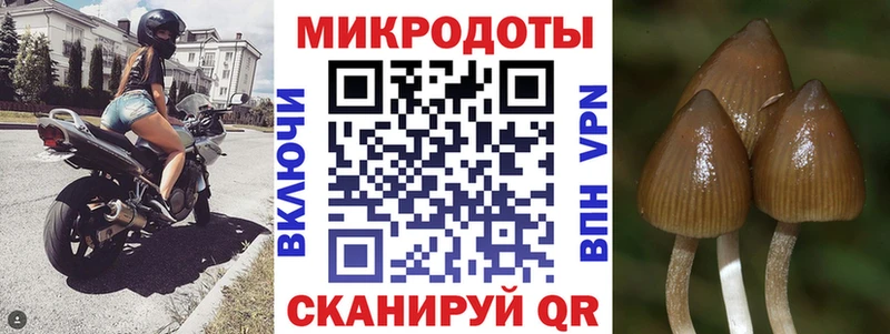 цена наркотик  Бронницы  Псилоцибиновые грибы Psilocybe 